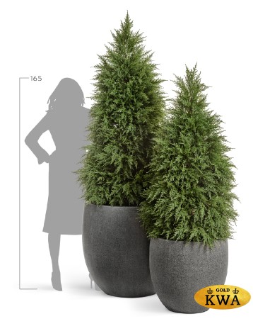 Кашпо TREEZ Effectory Stone Большой округлый конус Тёмно-серый камень д-90 см, в-86 см