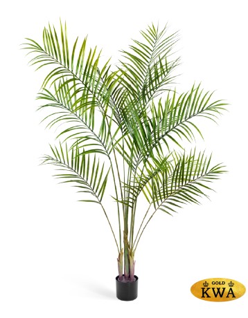 Пальма Арека Новая 200 см (6 стволов 16 веток) 2/2