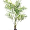 Пальма Арека Новая 200 см (6 стволов 16 веток) 2/2