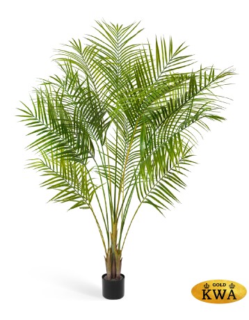 Пальма Арека Новая 200 см (6 стволов 16 веток) 2/2