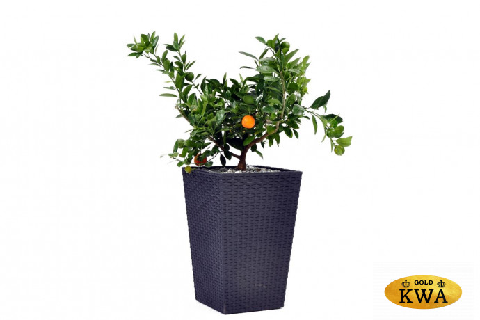 Кашпо Rattan Planter M (medium) 55,4L