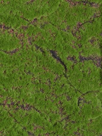 Мох Soft полотно 100 х100 см