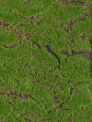 Мох Soft полотно 100 х100 см