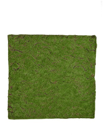 Мох Soft полотно 100 х100 см