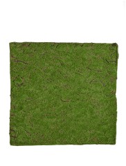 Мох Soft полотно 100 х100 см