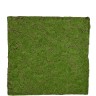 Мох Soft полотно 100 х100 см