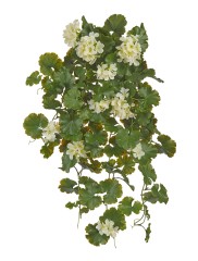 Герань ампельная куст кремовый UV-фильтр в-58 см 6/24