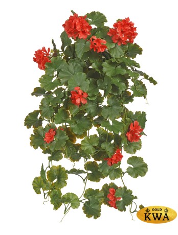 Герань ампельная куст красный UV-фильтр в- 58 см  6/24