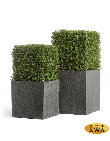 Кашпо TREEZ Effectory Stone Куб Тёмно-серый камень 50х50х50 см