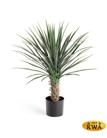 Юкка Рострата куст Де Люкс в-85 см 2/2