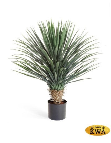 Юкка Рострата куст Де Люкс в-85 см 2/2
