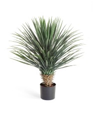 Юкка Рострата куст Де Люкс в-85 см 2/2