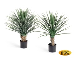 Юкка Рострата куст Де Люкс в-85 см 2/2