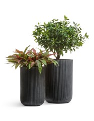 Кашпо Treez Ergo Jet Высокий цилиндр Антрацит в-55, д-37 см