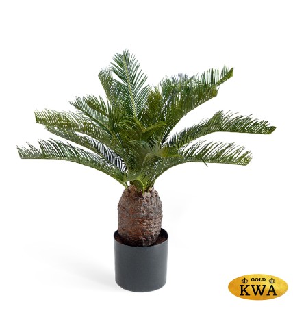 Пальма Цикас 70 см (22 ветки) 2/2