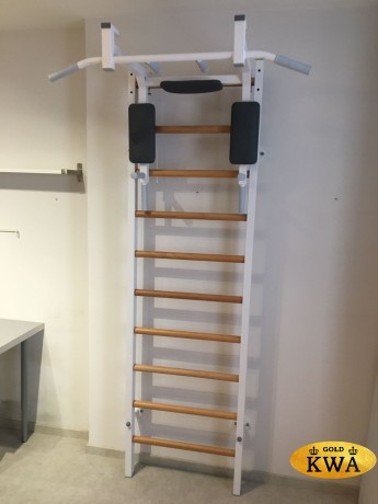 Шведская стенка комбинированная - КОМБИ - ТБПШ (стенка + турник-брусья-пресс навесной)