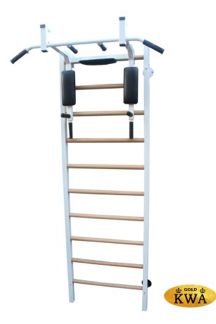 Шведская стенка комбинированная - КОМБИ - ТБПШ (стенка + турник-брусья-пресс навесной)