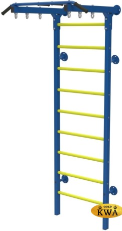 ДСК Семейный ПРОФ с турником