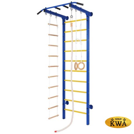 ДСК Семейный ПРОФ с турником