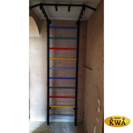 ДСК Семейный ПРОФ с турником