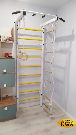 ДСК Семейный ПРОФ с турником