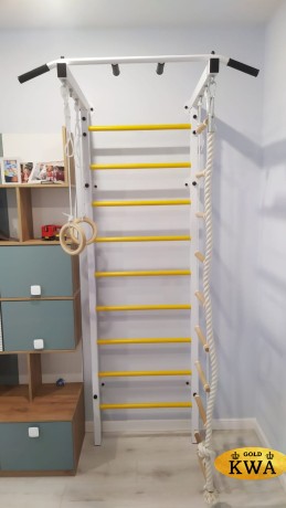 ДСК Семейный ПРОФ с турником