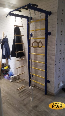 ДСК Семейный ПРОФ с турником