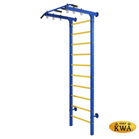 ДСК Семейный ПРОФ с турником