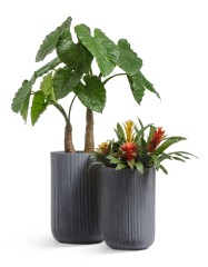 Кашпо Treez Ergo Jet Высокий цилиндр Дымчато-серый бетон в-55, д-37 см