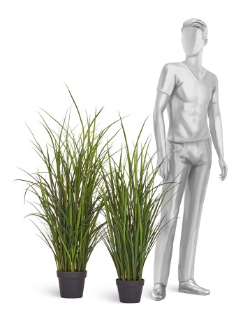 Тростник в горшке (пластик) 140 см 2/2