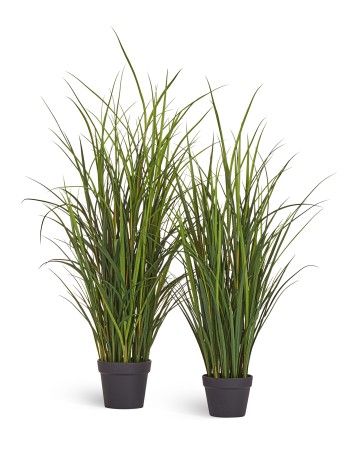 Тростник в горшке (пластик) 140 см 2/2