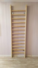 Шведская стенка деревянная Сосна-береза +