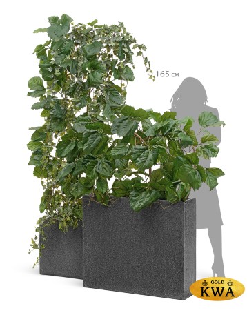 Кашпо TREEZ Effectory Stone Высокий Дивайдер Тёмно-серый камень в-75, д-92, ш-25 см 1/1