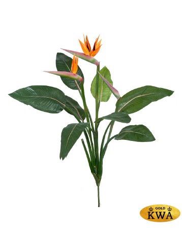 Стрелиция Королевская куст 105 см 2 цветка 1 бутон 6/24