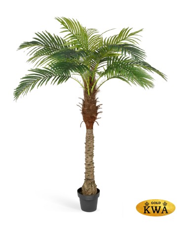 Финиковая пальма Новая в-190 см 19 веток (Sensitive Botanic) 2/2