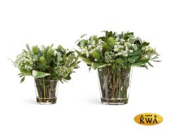 Композиция "Green Lifestyle" большая  в-40, д-40 см в стекл.вазе с водой 1/1