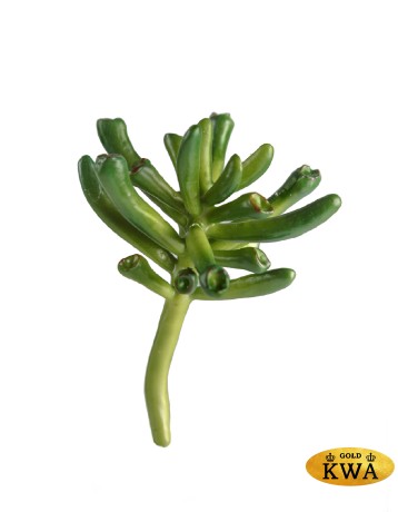 Мини-суккулент Крассула Хоббит в-7,5, д-9 см 24/288