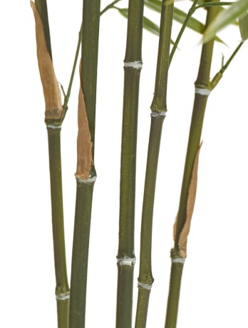 Бамбук пластиковый 150 см