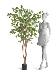 Клен японский Вайлд зелёный в-180 см 2/2