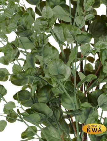 Эвкалипт куст припылённо-зелёный в-90 см 2/6