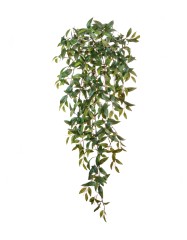 Традесканция зелёная ампельньная 95 см (356 листов) 6/36