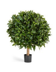 Лавр круглый д-60 см, в-80 см 2/2