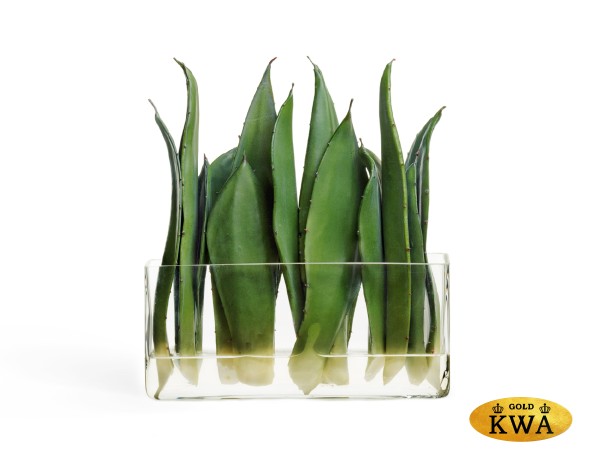 Композиция Листы Алоэ в стекле с водой 30 см 1/8