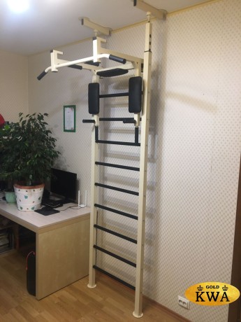 Шведская стенка металлическая с креплением враспор ПРОФ PR 1 распор 6 точек (2.56 - 3.20 м) ПРОФ PR 1 - ТБПШ (стенка + турник-брусья-пресс)