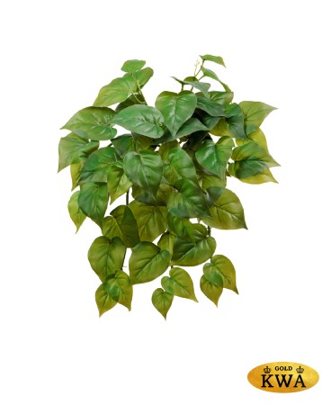 Филодендрон крупнолистный ампельный малый 35 см (Sensitive Botanic) (54 листа) 12/60