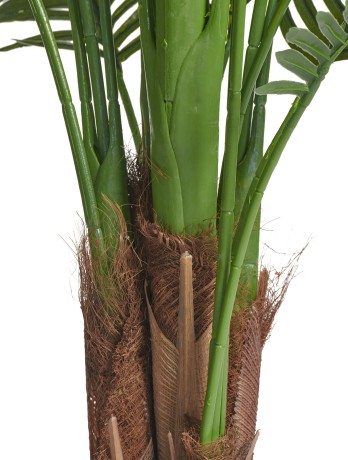 Пальма Арека Хризалидокарпус New в-180 см (Sensitive Botanic) 2/2