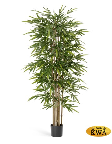 Бамбук Новый 150 см 2/2