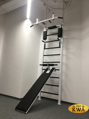 Шведская стенка металлическая враспор ПРОФ PR 1 - ТБПШ - ДВ распор 6 точек (2.56 - 3.20 м)