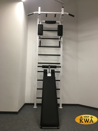 Шведская стенка металлическая враспор ПРОФ PR 1 - ТБПШ - ДВ распор 6 точек (2.56 - 3.20 м)