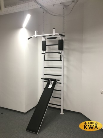 Шведская стенка металлическая враспор ПРОФ PR 1 - ТБПШ - ДВ распор 6 точек (2.56 - 3.20 м)